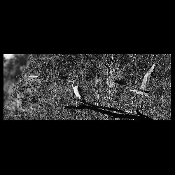 PHOTO84, CLUB, 84 , LUBERON